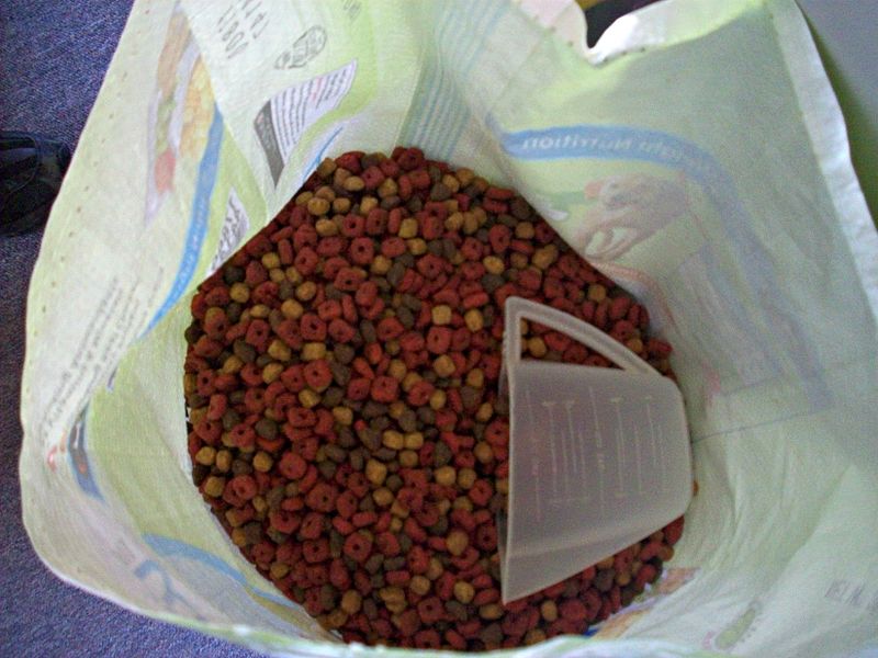 Dog_Food_(1)