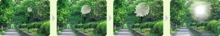 about_img_01