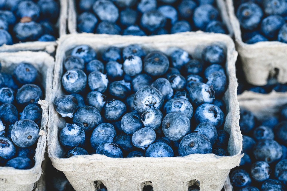blue-1326154_960_720