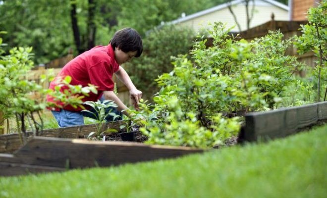 cute-young-boy-gardening-in-his-home-backyard-725x483