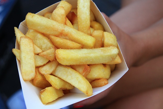 french-fries-2301843_640