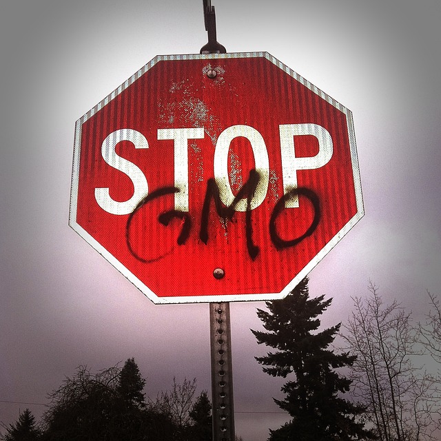 gmo-254539_640