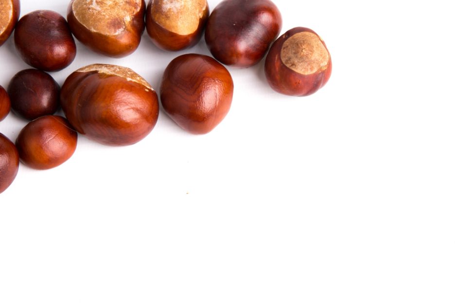 horse-chestnuts-14726301841rf