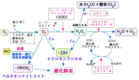 hydrogen-2