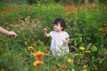 kids-2801707_640