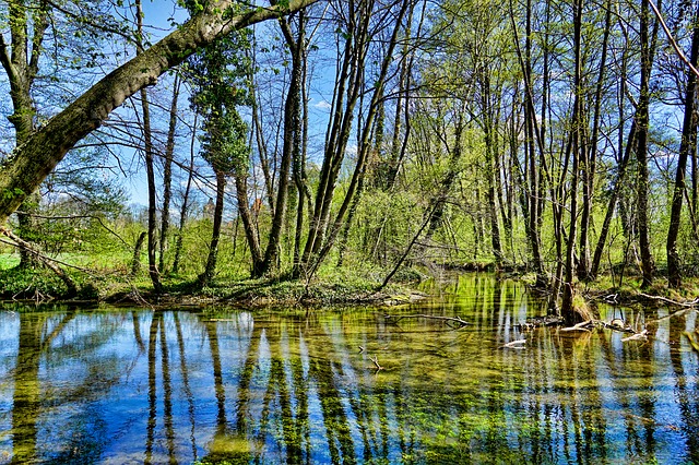 nature-3317829_640