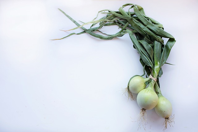 onions-2485054_640