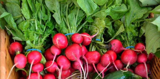 red-radish-1620106_960_720
