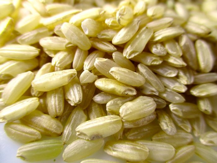 rice-2351272_960_720