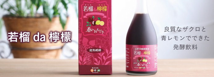 商品紹介テキスト