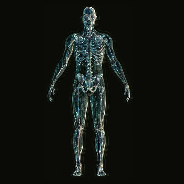 skeleton-1243818_640