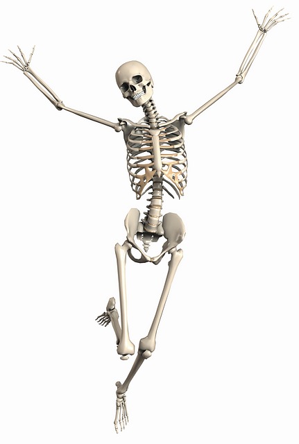 skeleton-2504341_640