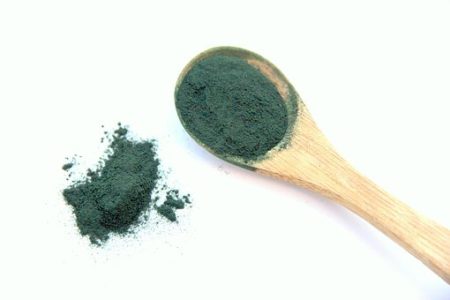 spirulina-1829077__340