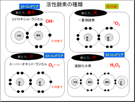 supli_img02_l