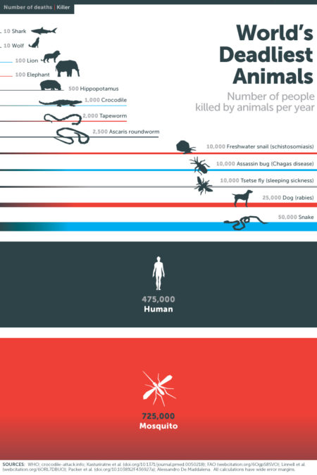 the deadliest animal in the world
