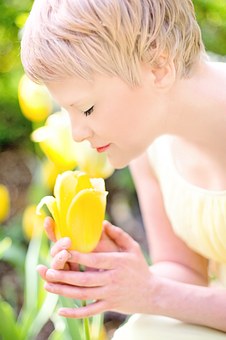 tulips-635263__340