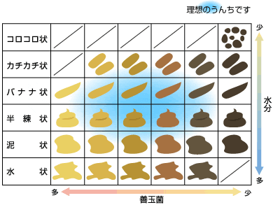 tyounai1