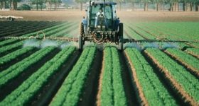 中国産はダメ、国産野菜を選択するという人へ。 もはや日本の農薬規制緩和は中国産野菜の残留農薬どころではありません