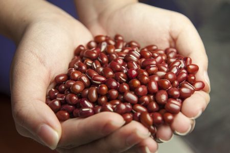 小豆＿red-beans-587592_640