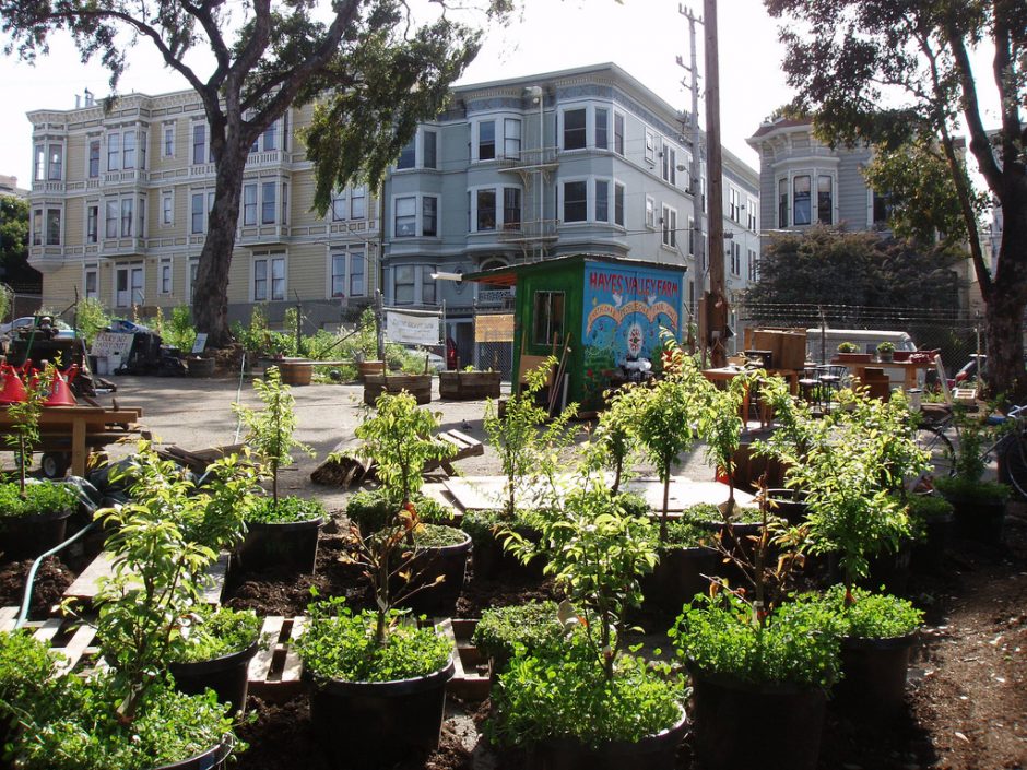 Freeway_Food_Forest_at_Hayes_Valley_Farm