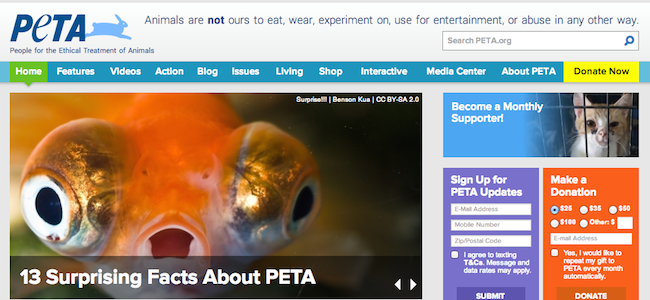 People for the Ethical Treatment of Animals  PETA   The animal rights organization