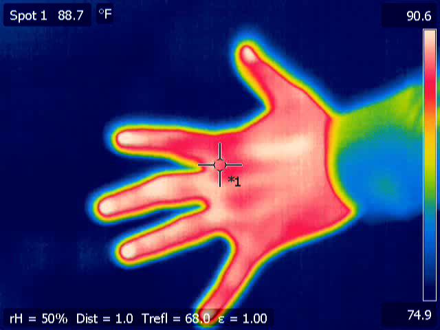 thermal image   hand   1