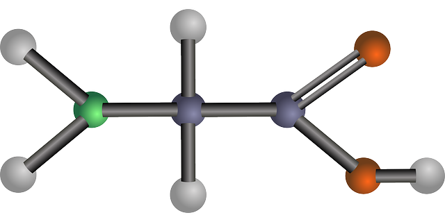 amino-acid