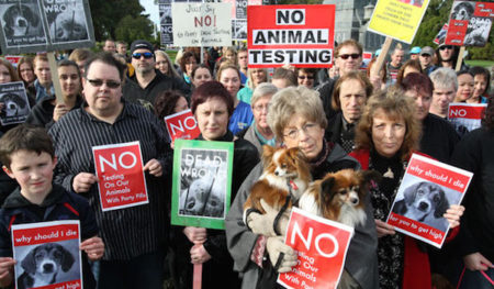 animal test protesters