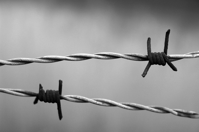 barbed-wire-1269430_640