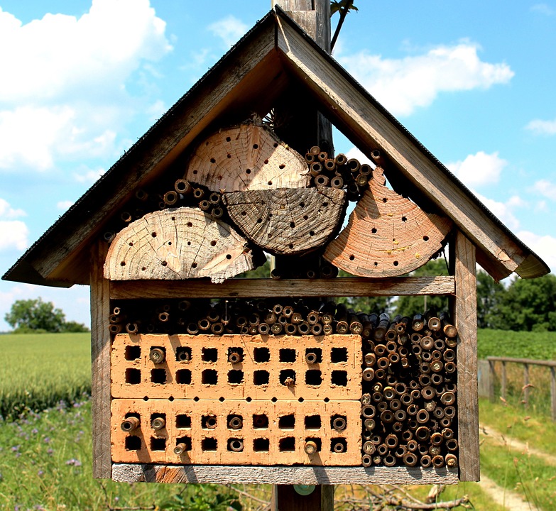 bees-371621_960_720