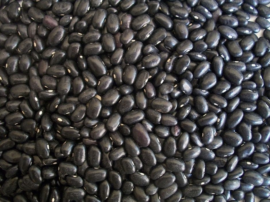 black-beans-14522_960_720
