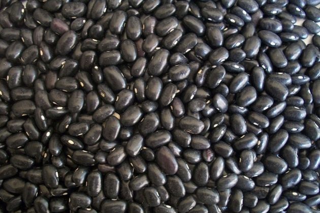black beans 14522 960 720