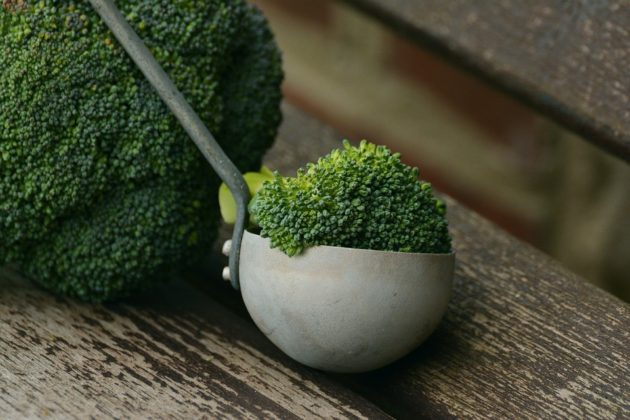 broccoli 1974801 960 720