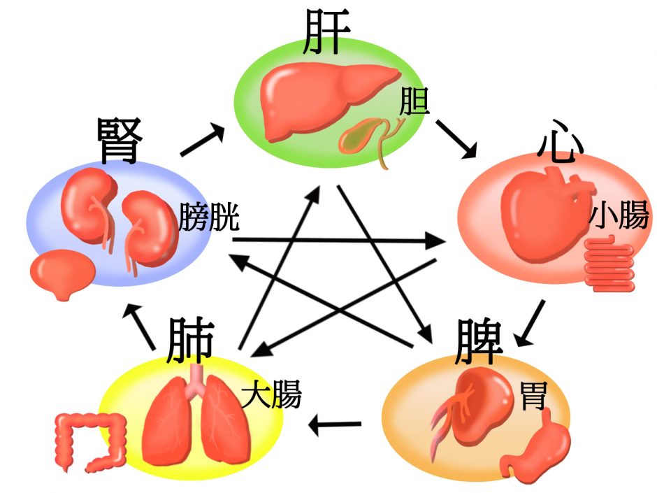 遺伝のせいだけで病気になるわけではない！添加物や排気ガスなどの環境要因が酸化ストレス・寿命をも縮める健康被害を誘引？今からでも病気発症リスクを