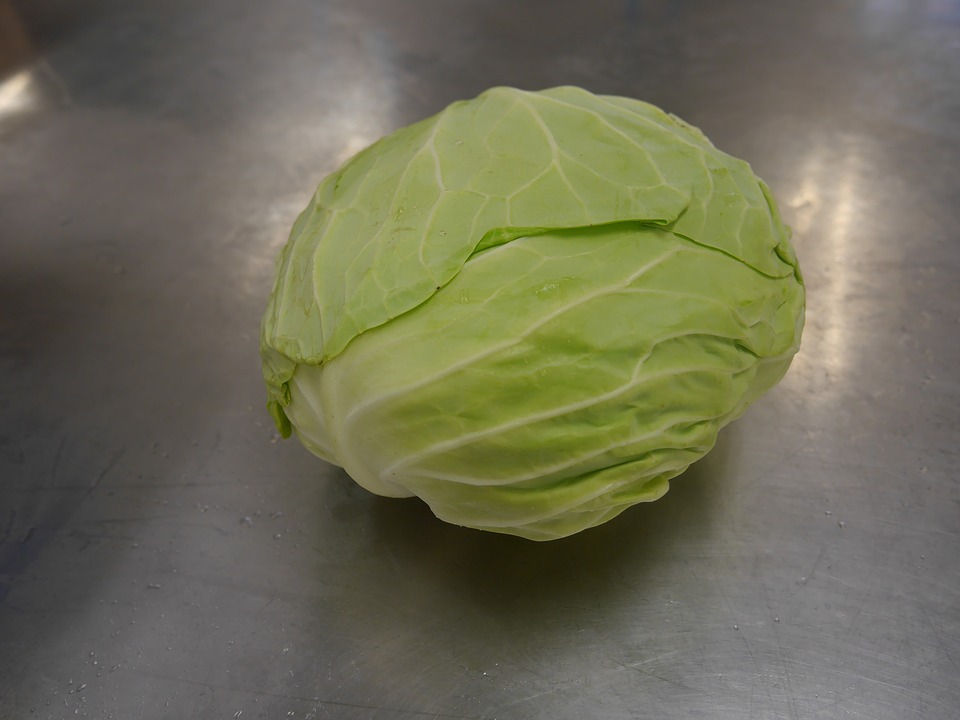 cabbage 2141690 960 720