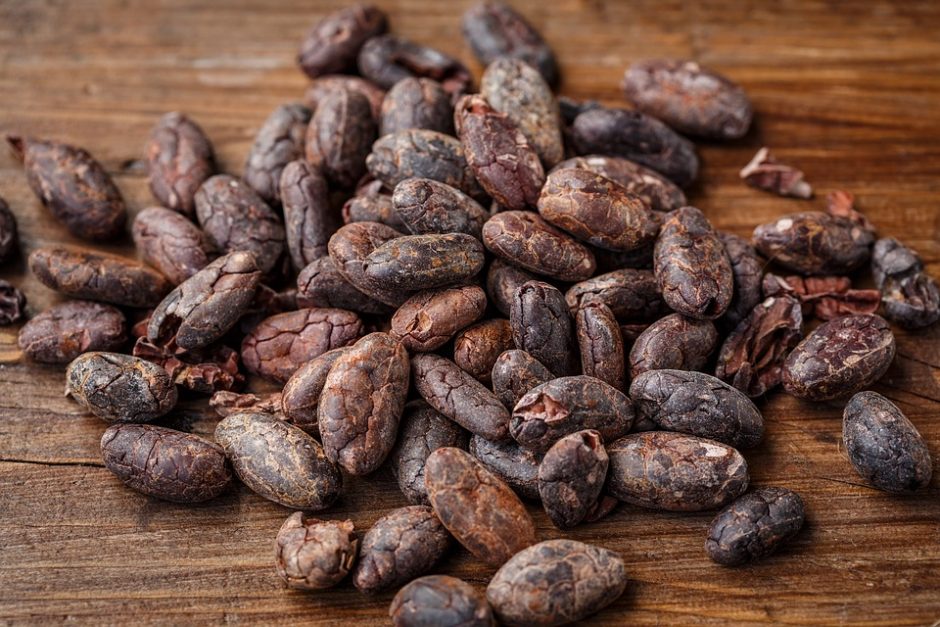 cacao-bean-2522918_960_720