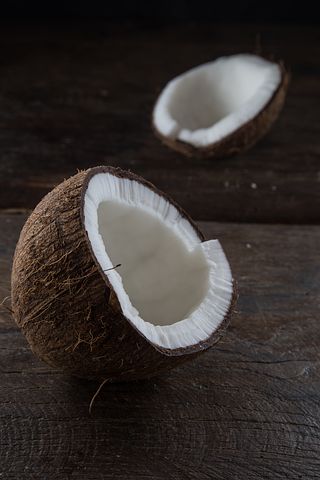 coconut-1123738__480