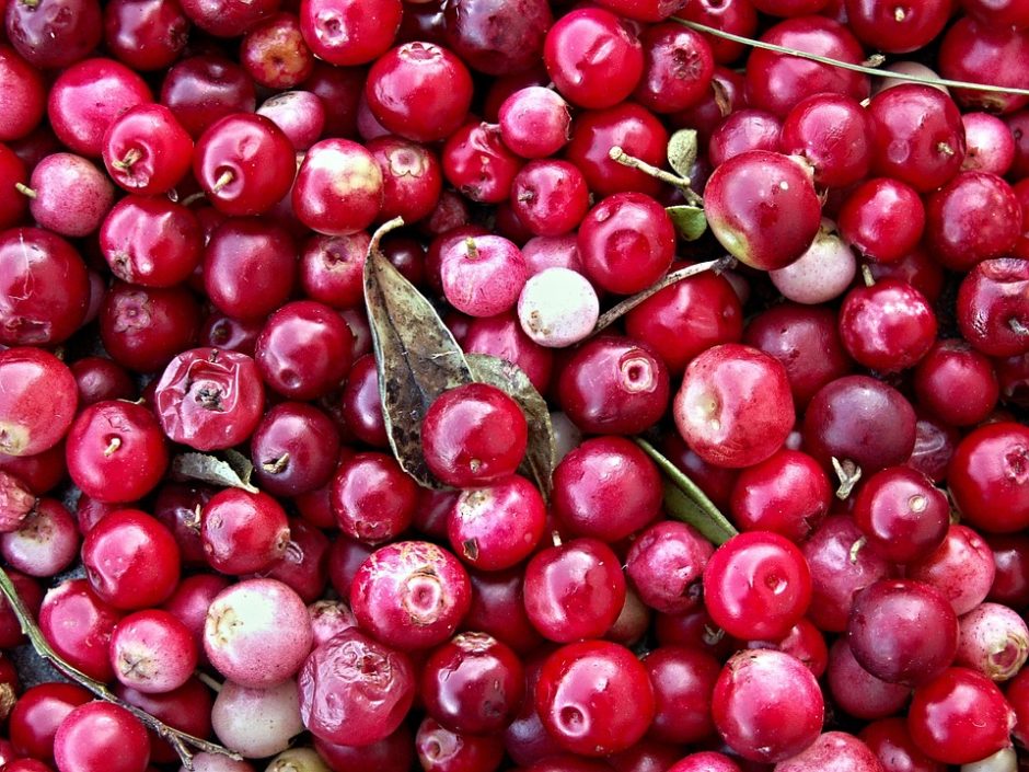 cranberries-112155_960_720