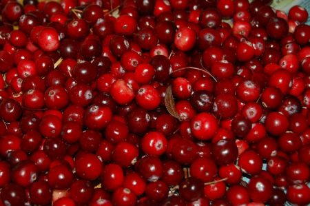 cranberries-957583_640