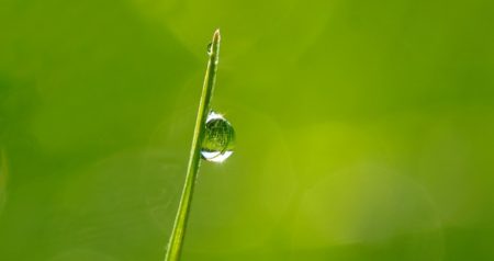 drops-of-dew-in-the-morning-sun-1373998_640