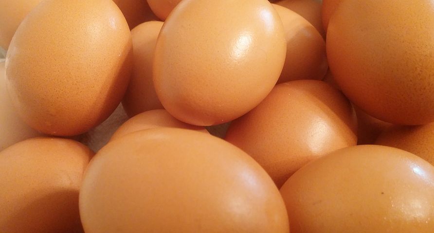 eggs-449191__480