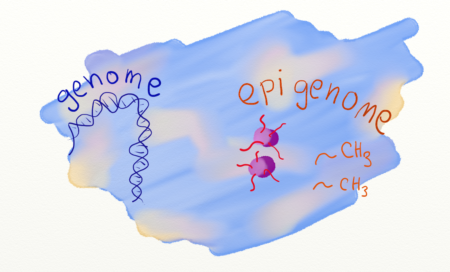genome-epigenome