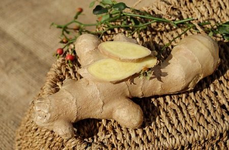 ginger-1738098__340