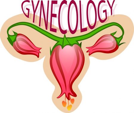gynecology-2533145_640