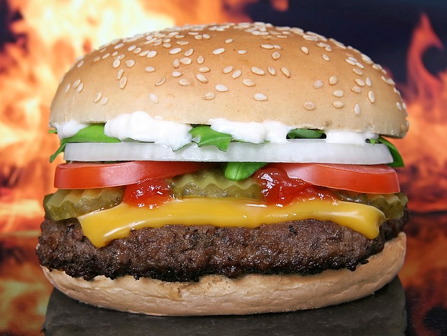 hamburger 1238246 640