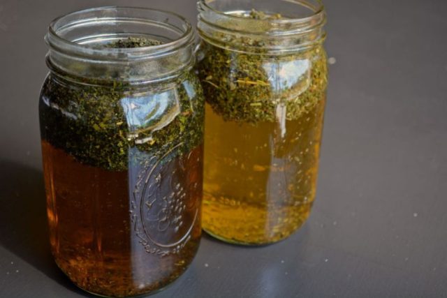 herbs-for-pregnancy-making-infusion