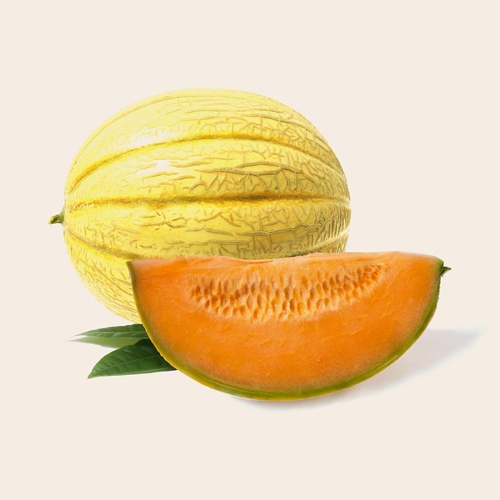melon-2409372_960_720