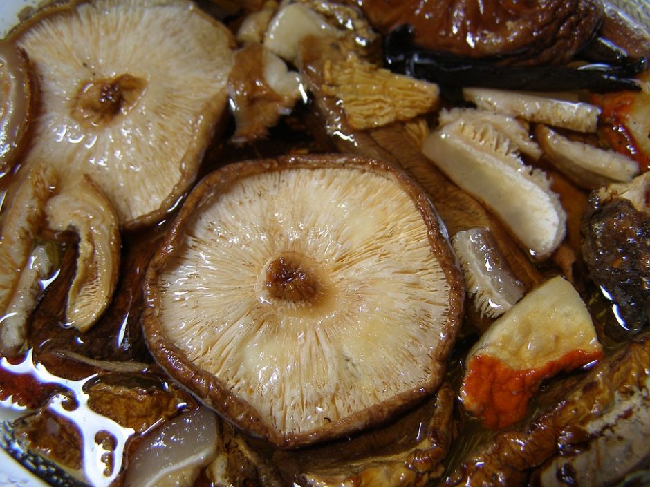 mushroom-1555015_960_720