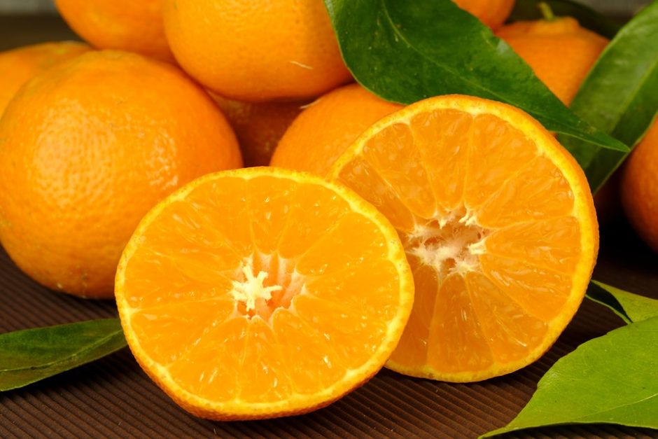 orange-15046__340