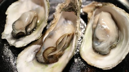 oyster-989182_960_720